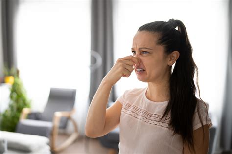 metal smell in house|pungent odor in house.